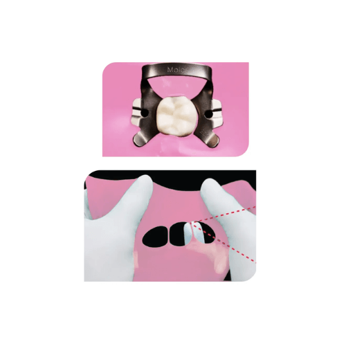 Lençol de Borracha Rosa Sanctuary - KDent