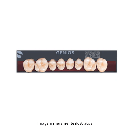 Dente Genios Posterior Inferior U34XL A2 - Dentsply Sirona