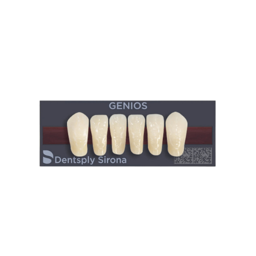 Dente Genios U35C Anterior Inferior A2 - Dentsply Sirona